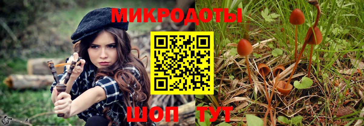 закладка  Псилоцибиновые грибы MAGIC MUSHROOMS  Губаха  Вход с VPN  Галлюциногенные грибы мицелий 